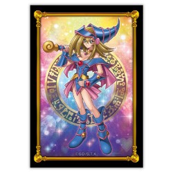 Dark Magician Girl Card Sleeves (50) [SMALL]